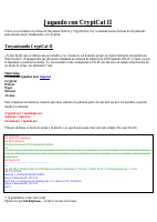 Jugando con Cryptcat II.pdf